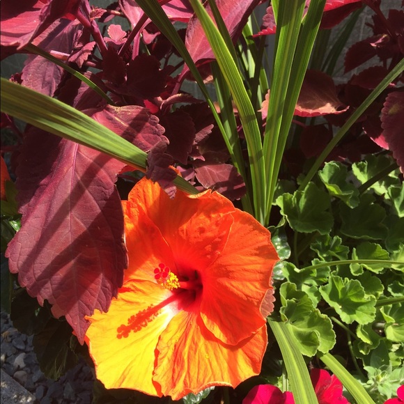 Meet your Posher, Maureen - Picture 5 of 9